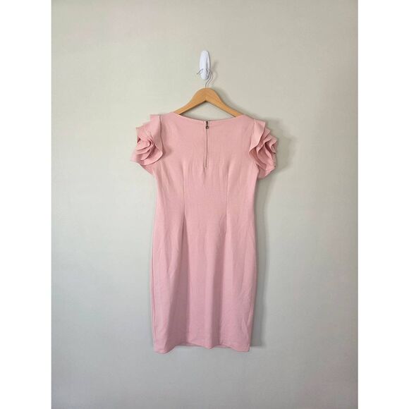 Pietro Brunelli Salisburgo Maternity Dress Size Small Pink Knee Length NEW - Picture 3 of 6